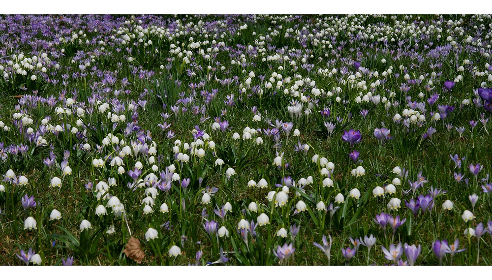 Frühling und ein Rest vom Herbst