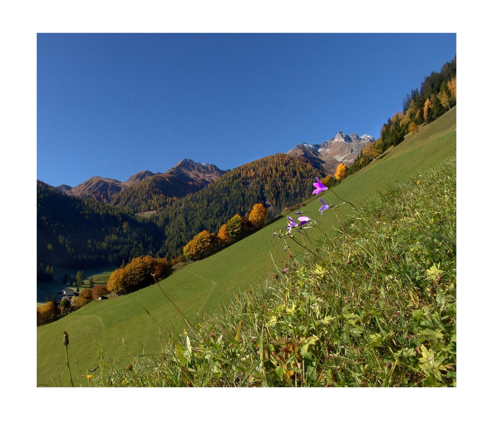 Frühling und Herbst