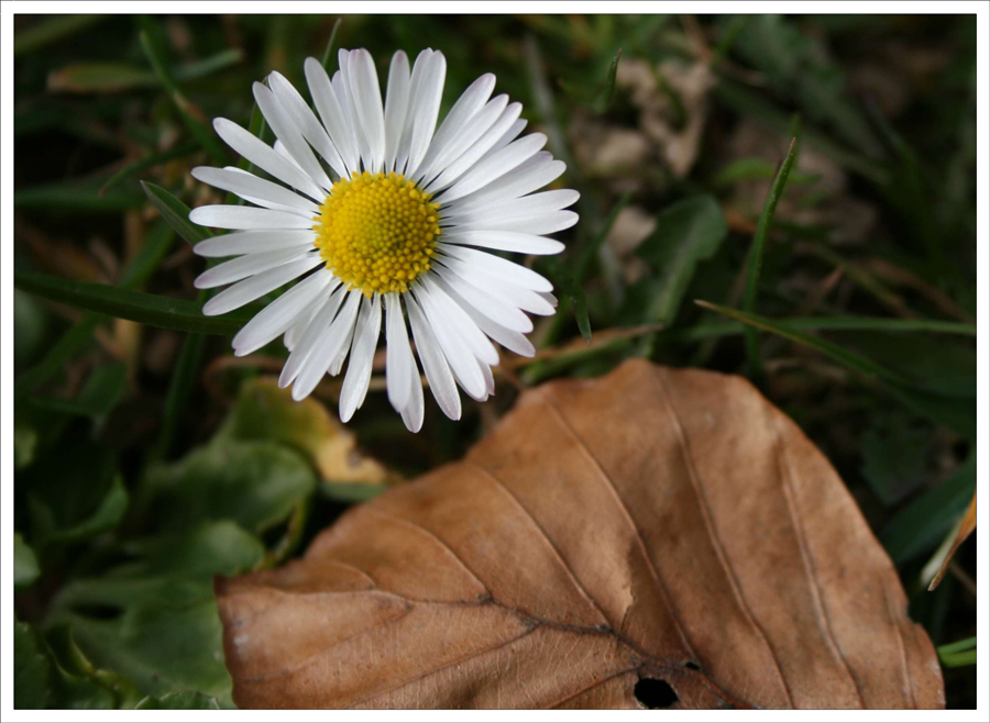 Frühling und Herbst !