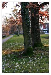 Frühling und Herbst