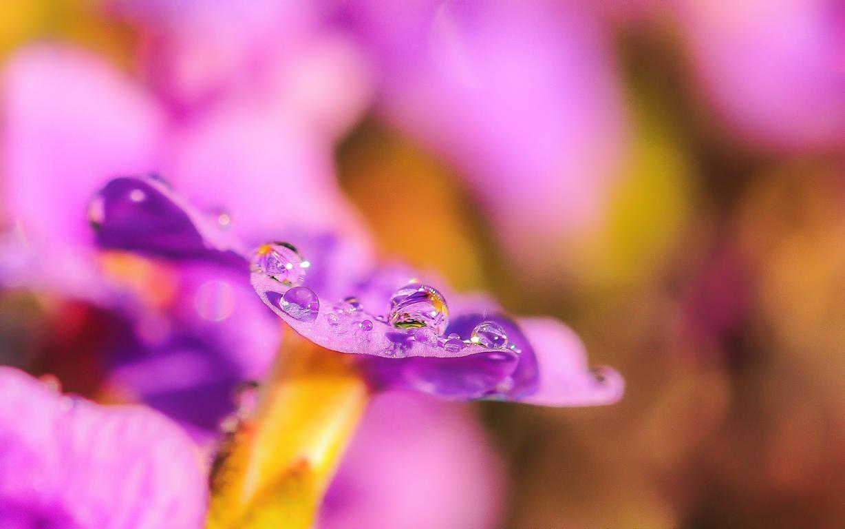 Frühling... und ich bin da!