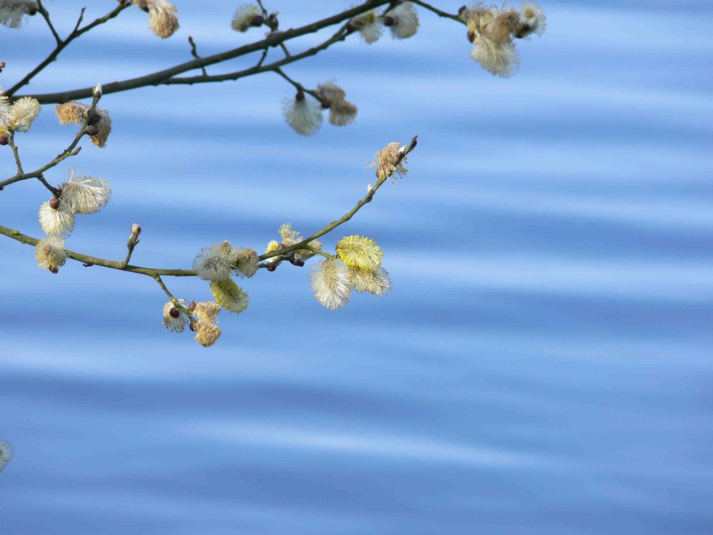 Frühling und Sonne wo bleibst ???