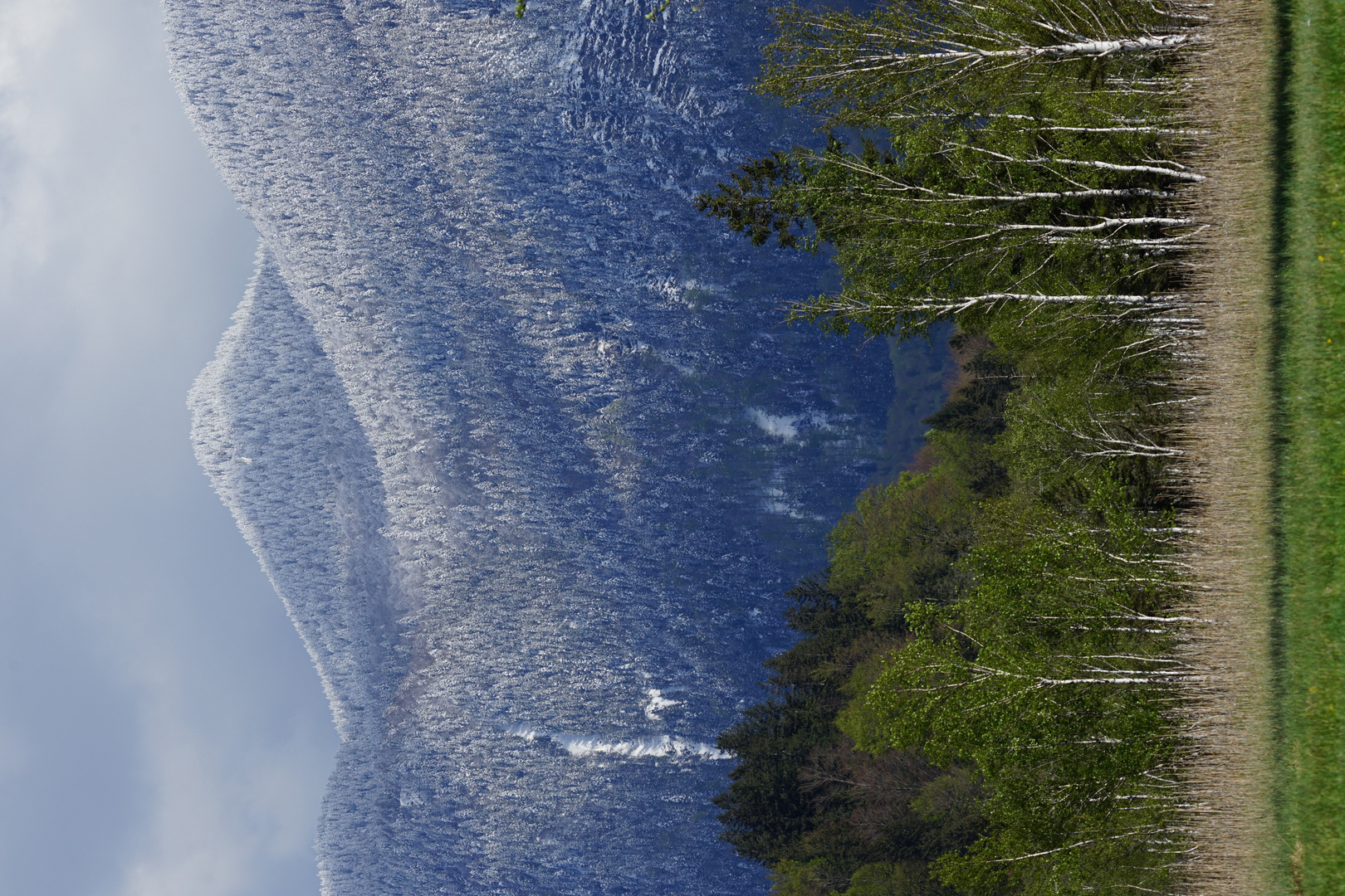 Frühling und Winter