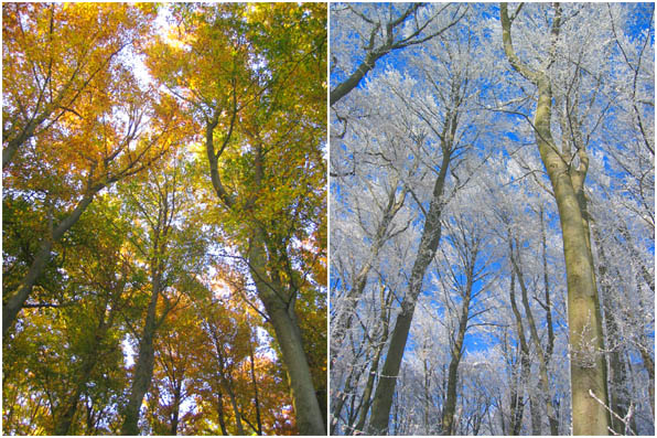 Frühling und Winter