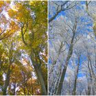 Frühling und Winter