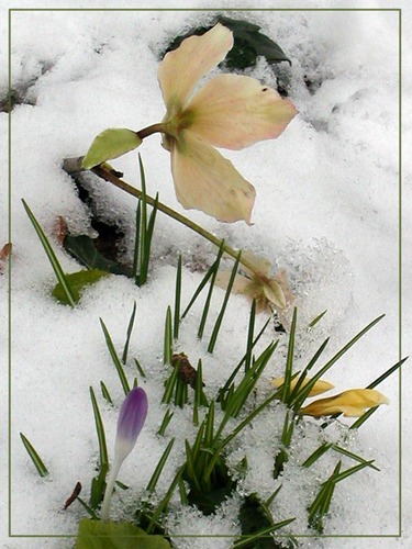 Frühling und Winter