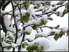 Frühling und Winter in Kombination