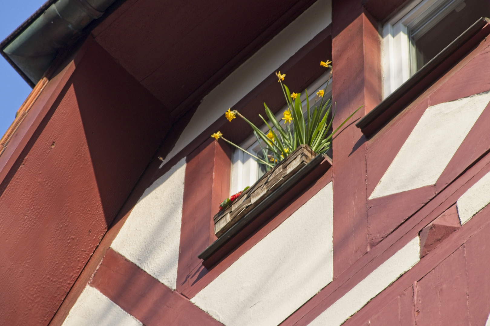 Frühling unter dem Dach