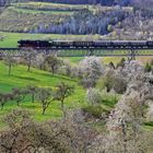 Frühling unter dem Epfenhofener Viadukt