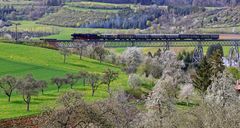 Frühling unter dem Epfenhofener Viadukt