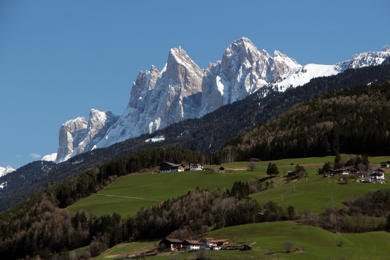 Frühling unter den Geisler Spitzen