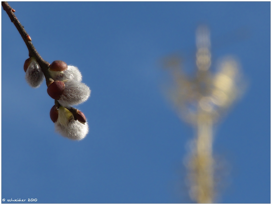 Frühling unterm Krönchen