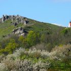 Frühling unterm Walberla