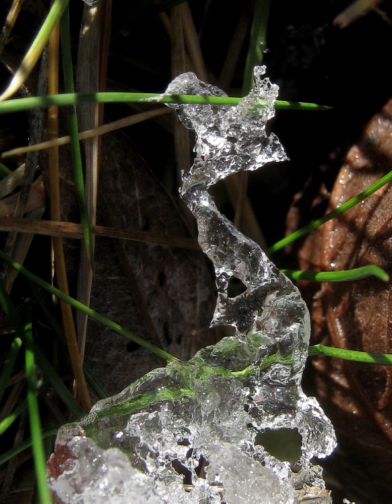 Frühling versus Winter