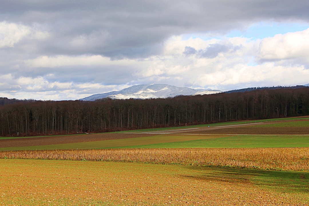 Frühling versus Winter