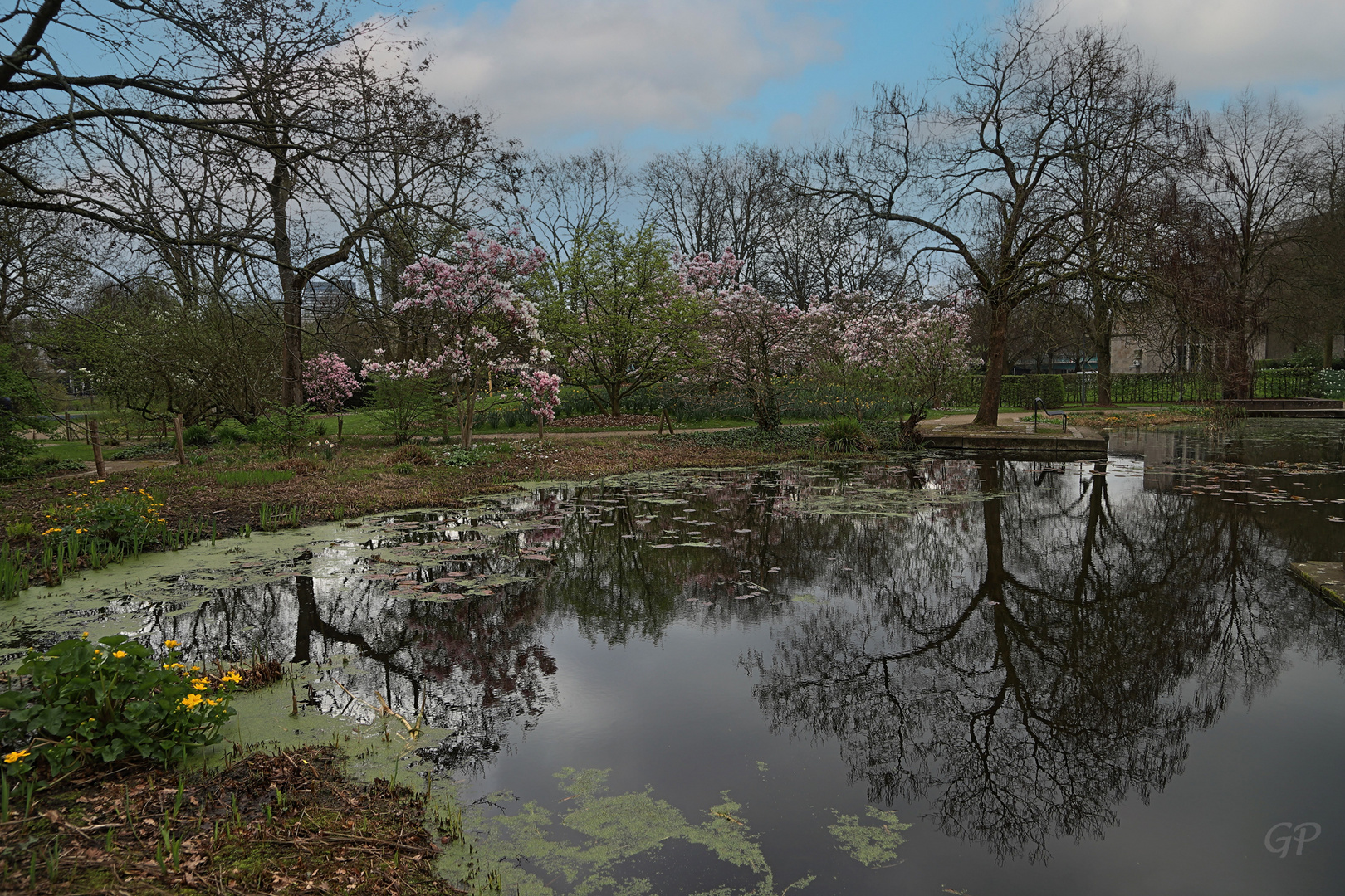 Frühling VI