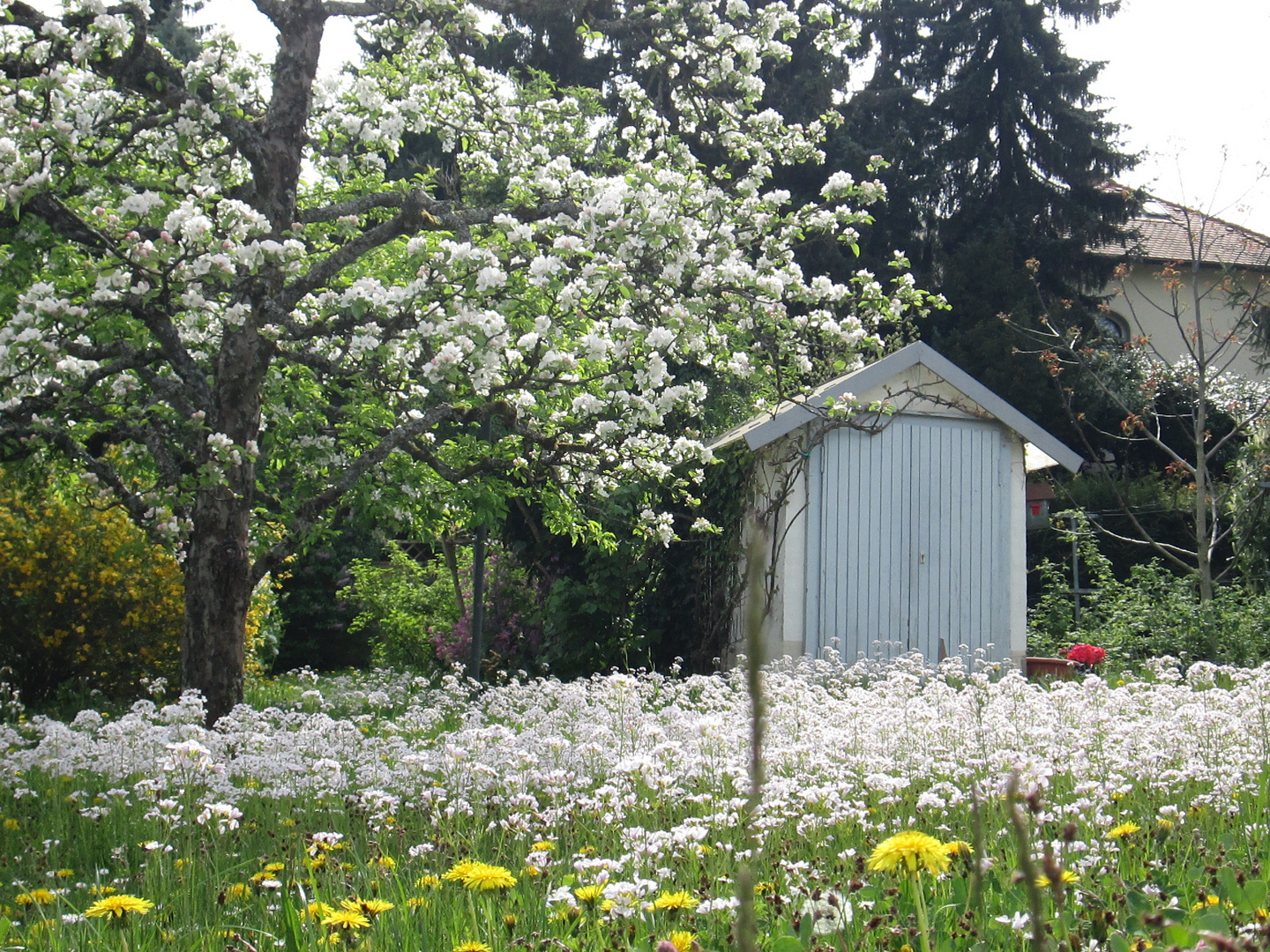 Frühling von seiner schönsten Seite