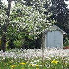 Frühling von seiner schönsten Seite