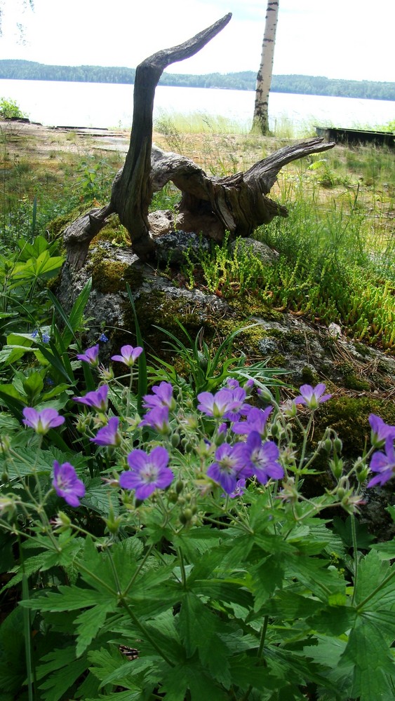 Frühling vor dem Beständigen