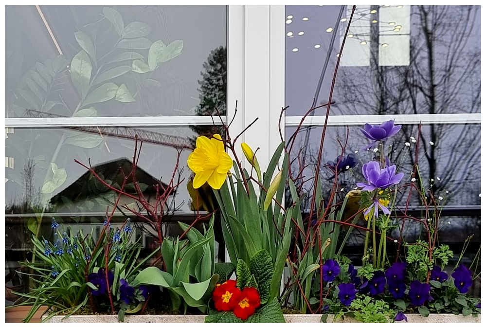 Frühling vor dem Fenster, II