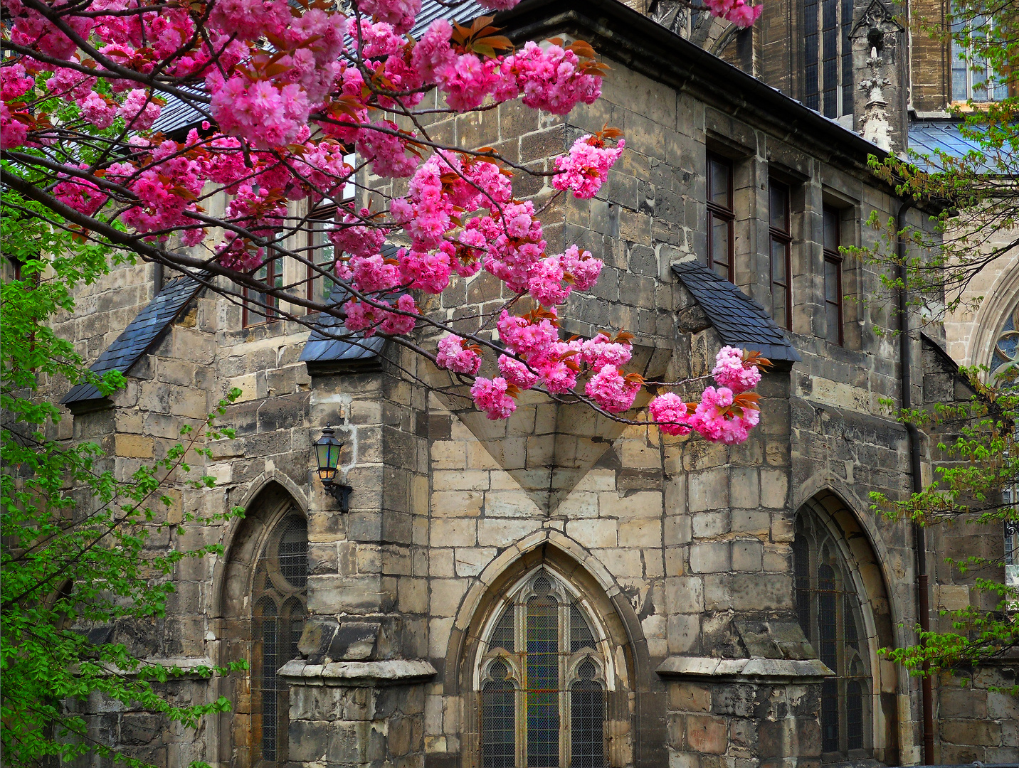 Frühling vor dem Halberstädter Dom