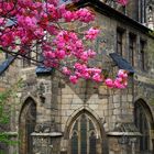 Frühling vor dem Halberstädter Dom