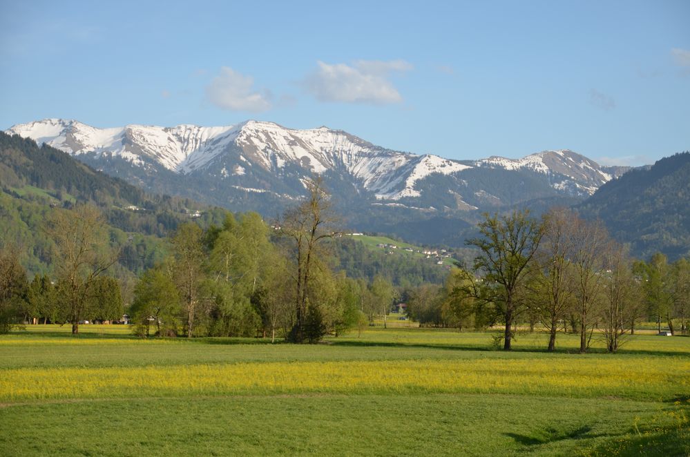 Allgäu Wikipedia