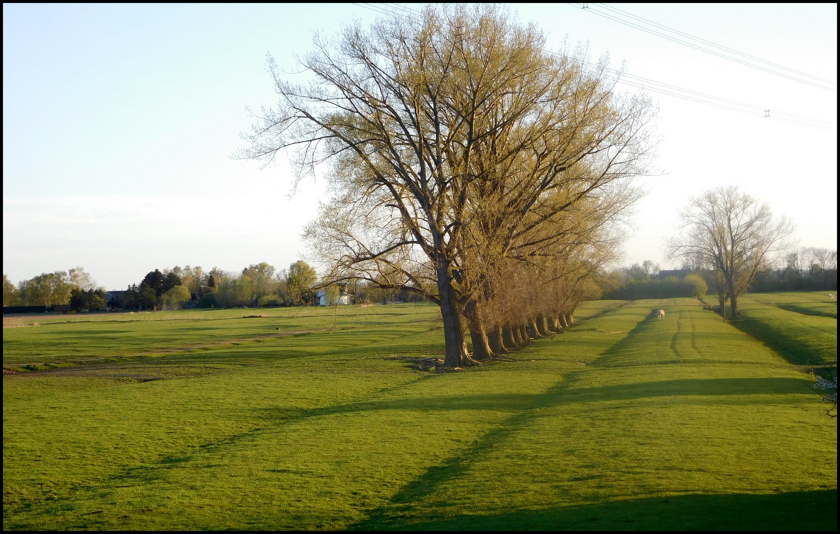 Frühling vor der Haustür 