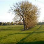 Frühling vor der Haustür 