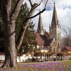 Frühling vor der Oberhofkirche