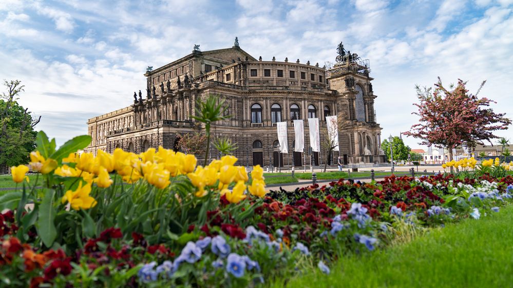 Frühling vor der Semperoper