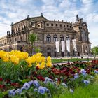 Frühling vor der Semperoper