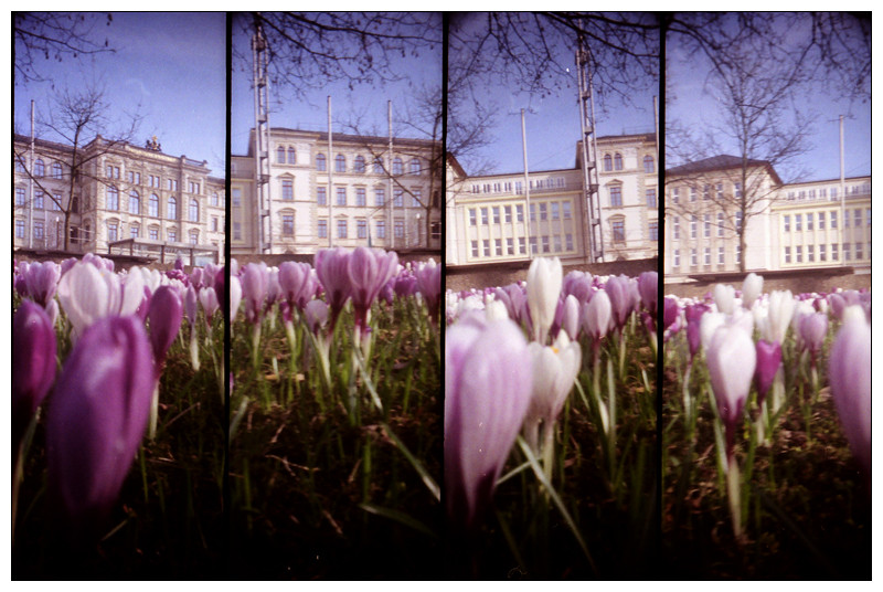 ~ Frühling vor der Uni ~