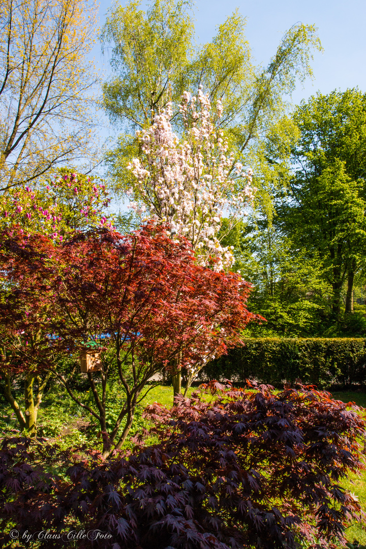 Frühling vor meinem Fenster