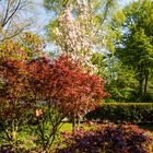 Frühling vor meinem Fenster