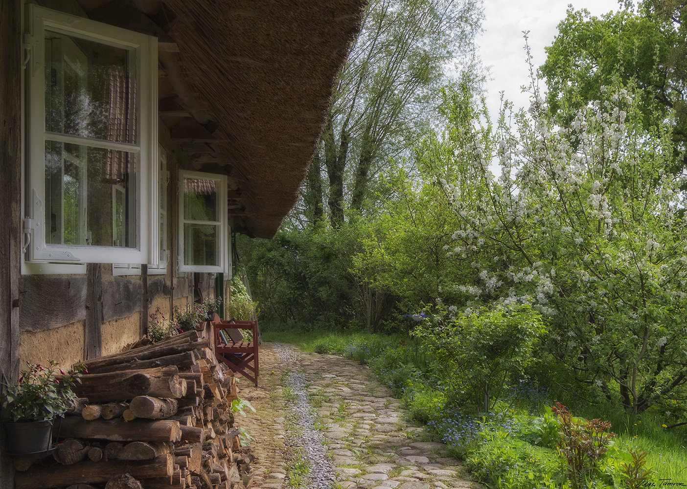 Frühling vorm Haus