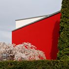 Frühling vorm Haus