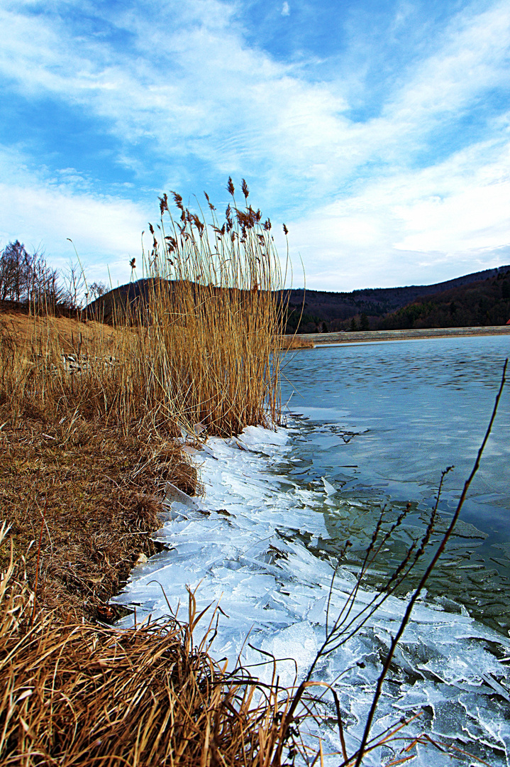 Frühling vs. Winter