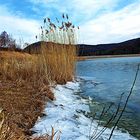 Frühling vs. Winter