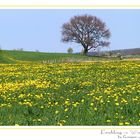 Frühling vs. Winter