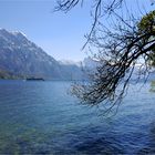 Frühling war's am Traunsee