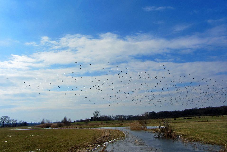 Frühling weiterhin ohne Chance