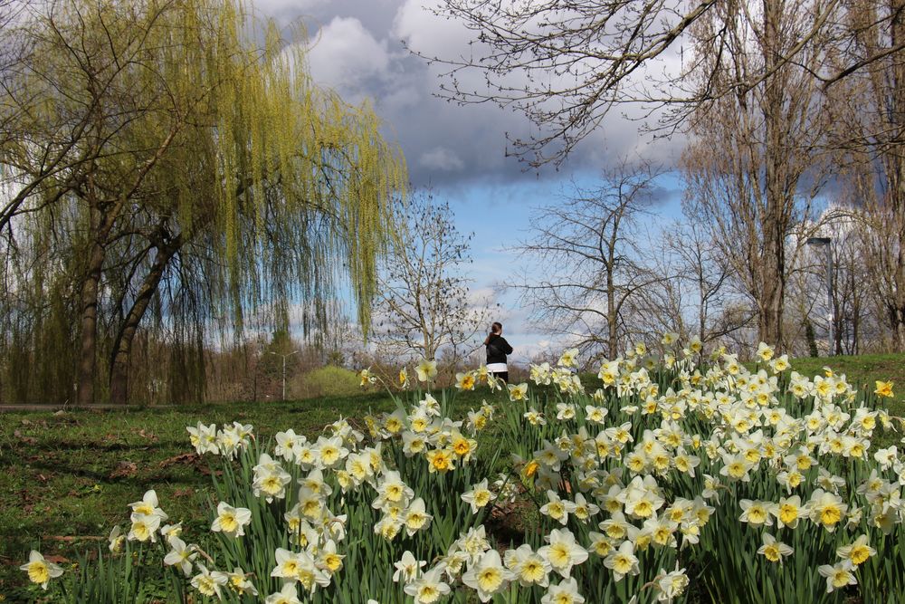 Frühling, Wertwiesenpark 