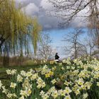 Frühling, Wertwiesenpark 