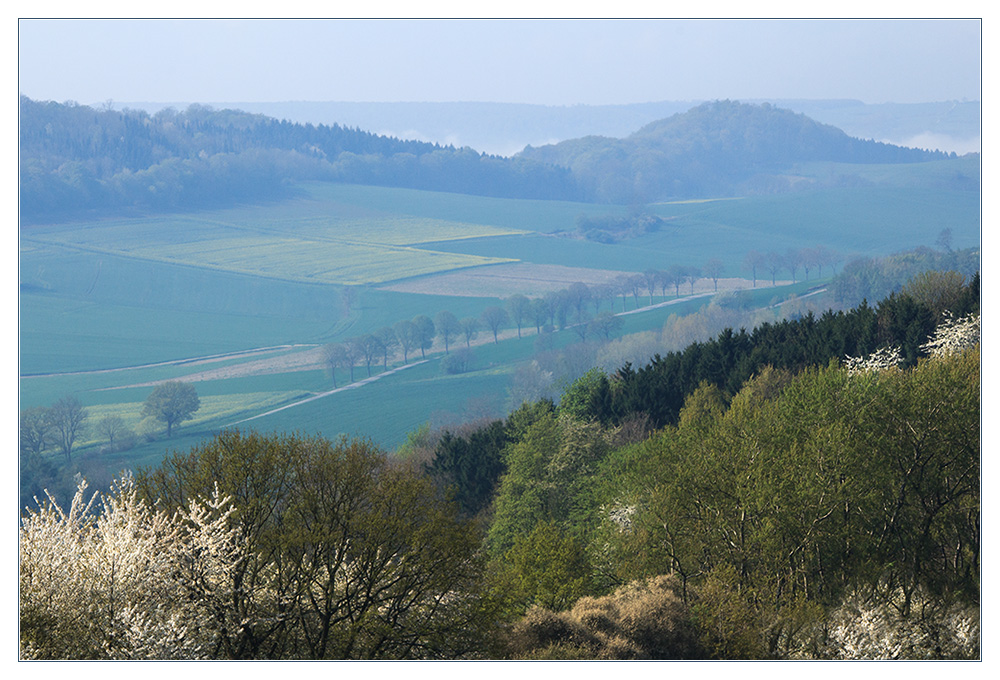 Frühling wie...