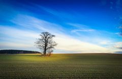 Frühling-wie schön!