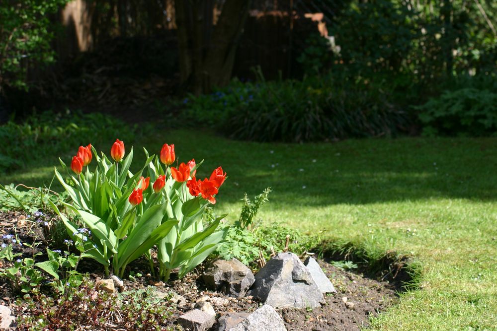 Frühling -wie schön