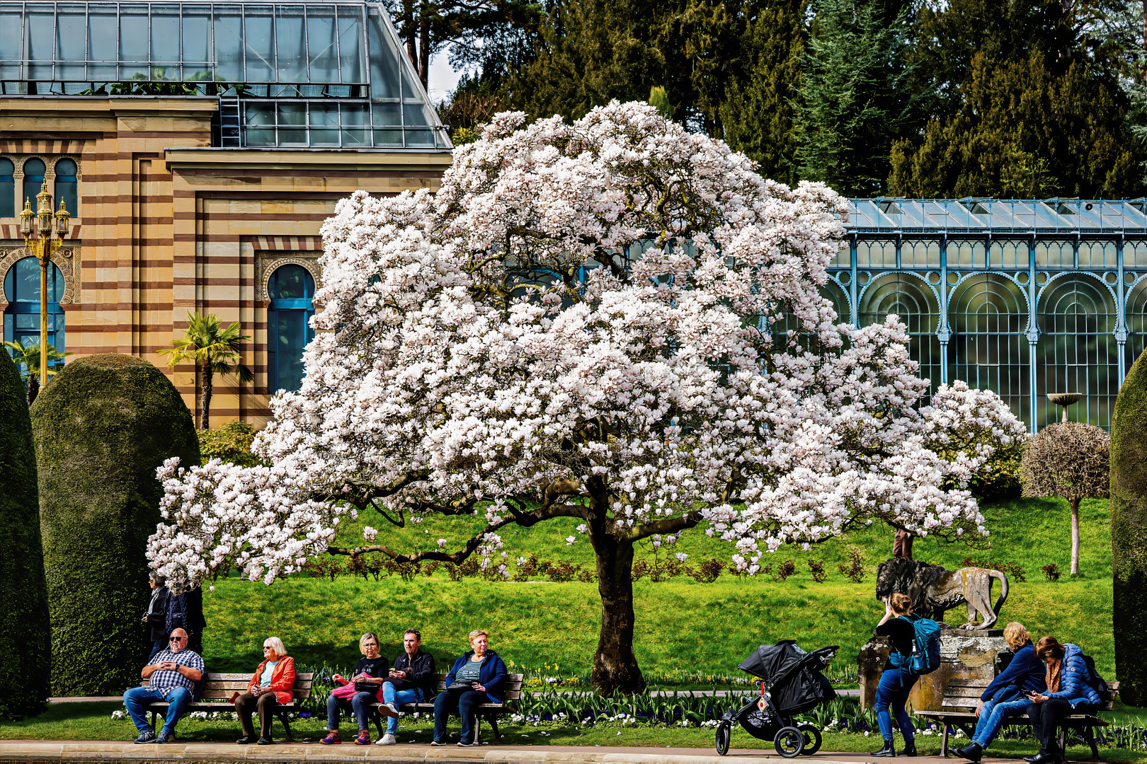 Frühling - Wilhelma in Stuttgart -