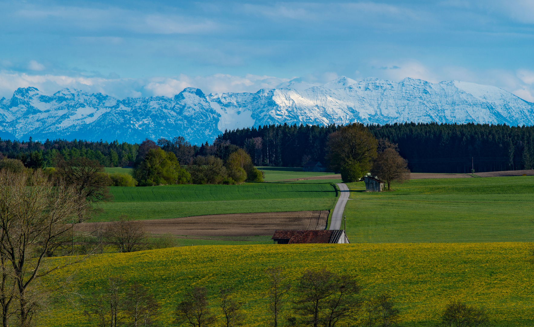 Frühling willkommen