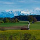 Frühling willkommen